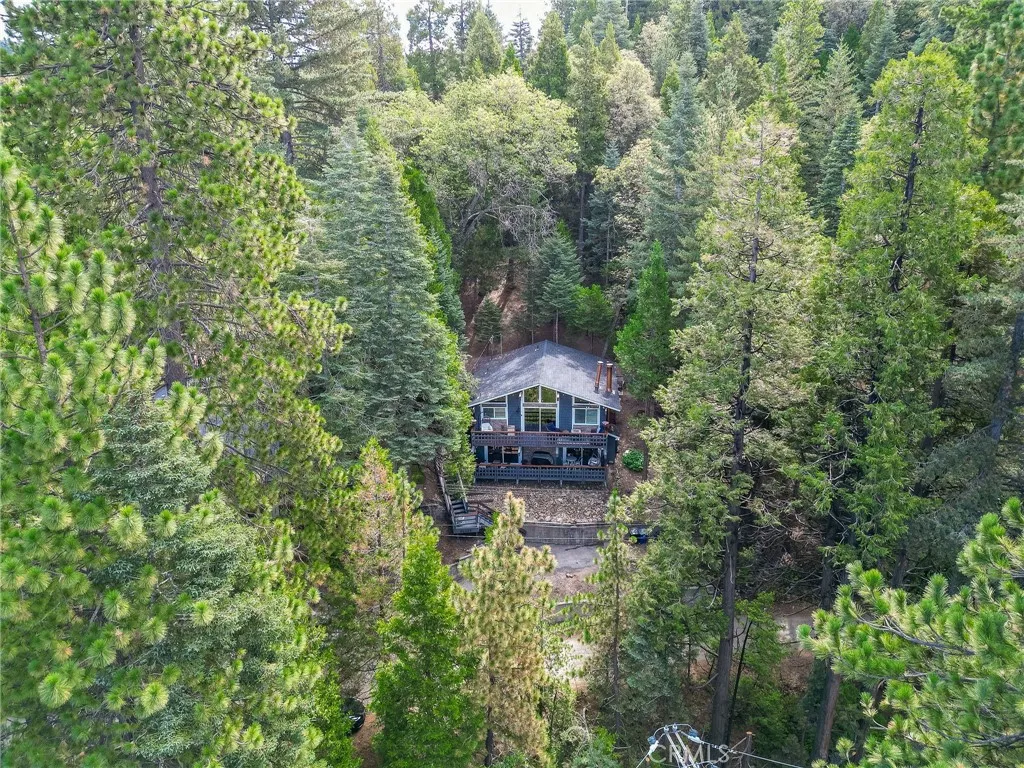 26669 State Highway 189, Twin Peaks, California 92391 home-pic-67