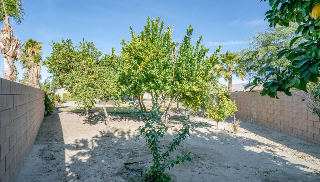 79925 Corte Calero, La Quinta, California 92253 home-pic-13