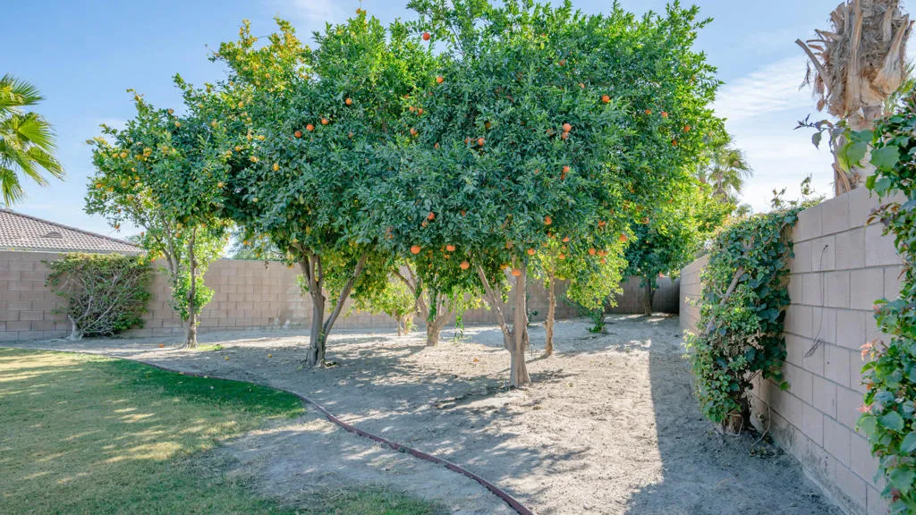 79925 Corte Calero, La Quinta, California 92253 home-pic-11