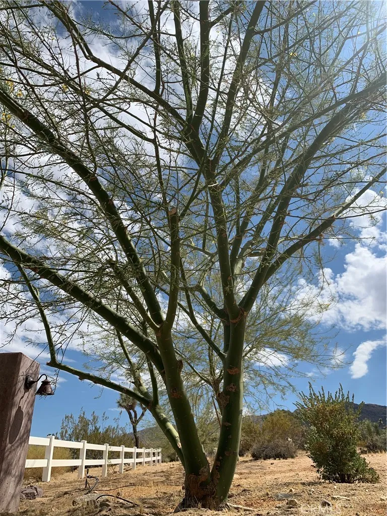 7024 Saddleback, Joshua Tree, California 92252 home-pic-21