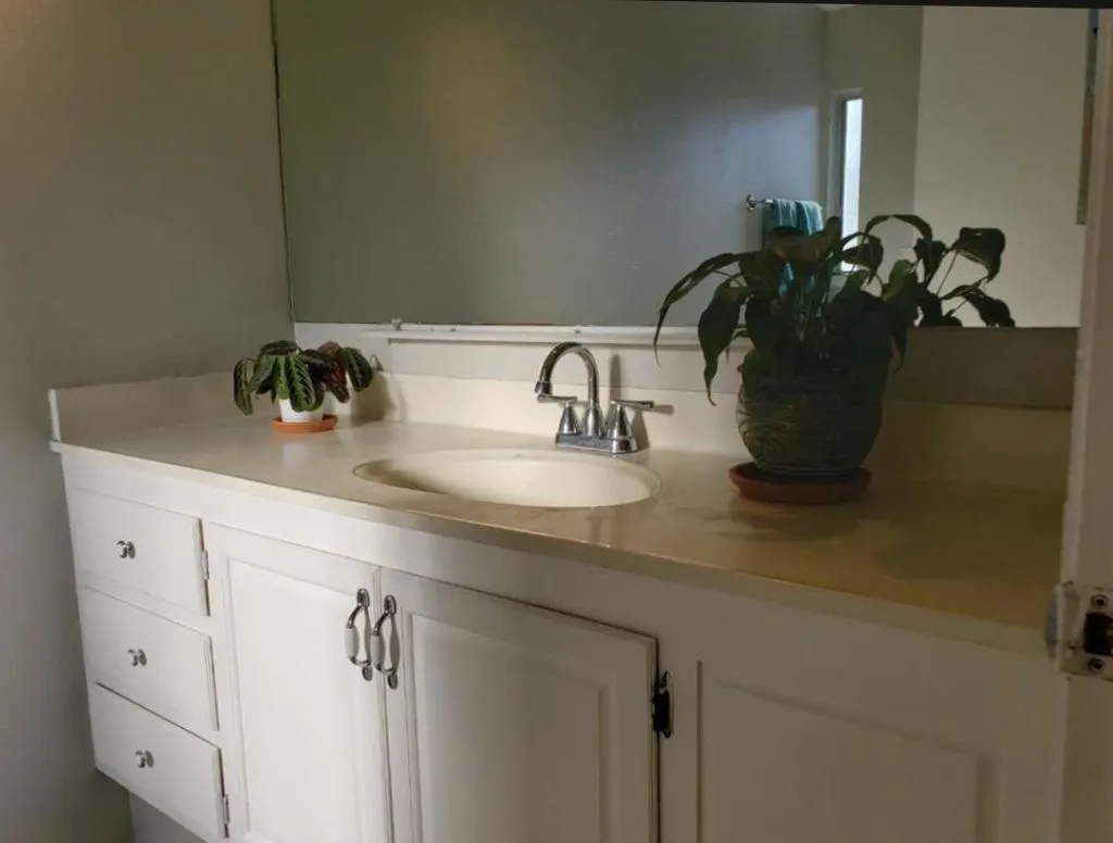 3128 Shofner Place, San Jose, California 95111 home-pic-8