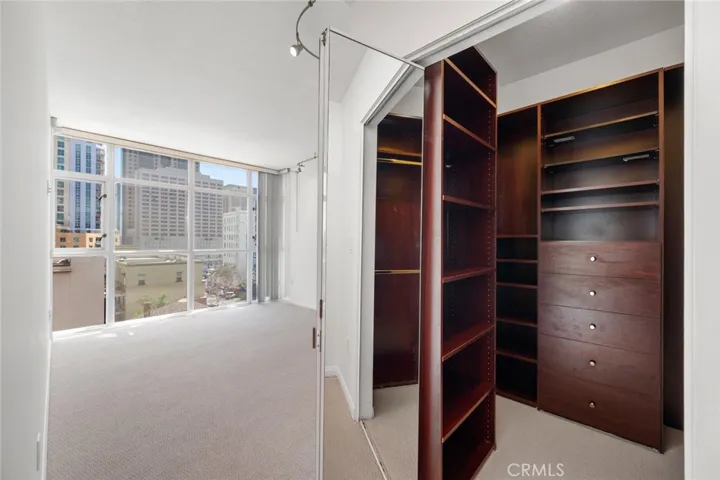 Master bedroom with walk-in closet
