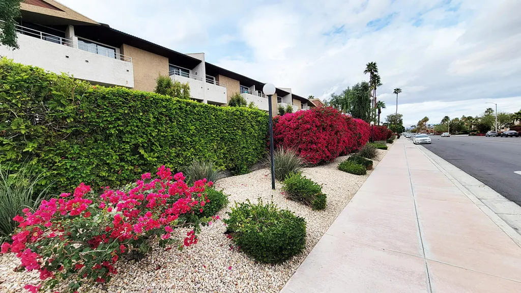 467 S Calle El Segundo D20, Palm Springs, California 92282 home-pic-37