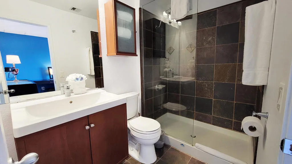 467 S Calle El Segundo D20, Palm Springs, California 92282 home-pic-2