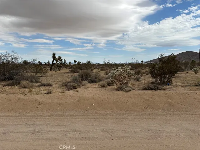 5 Acres from the road