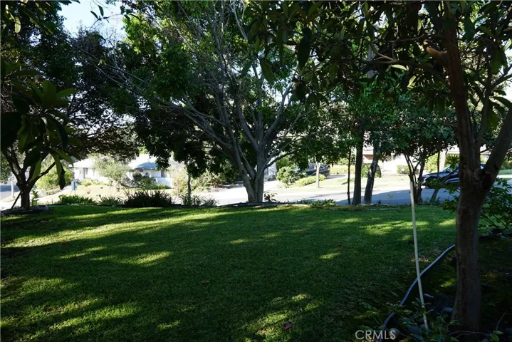 Side Yard