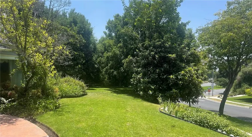 Front Side Yard