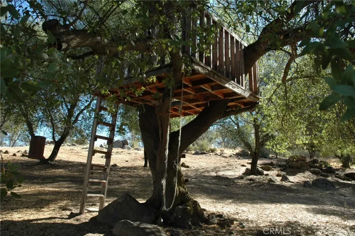 an awesome tree house for the children to play in.
