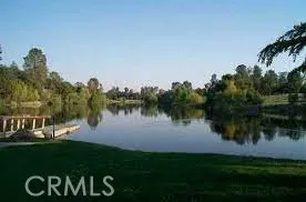 Beautiful lake has fish in it too.