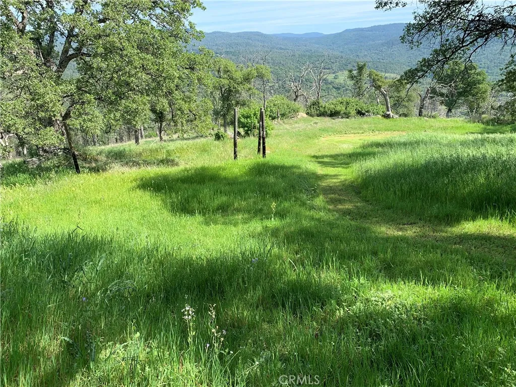 Beautiful acreage