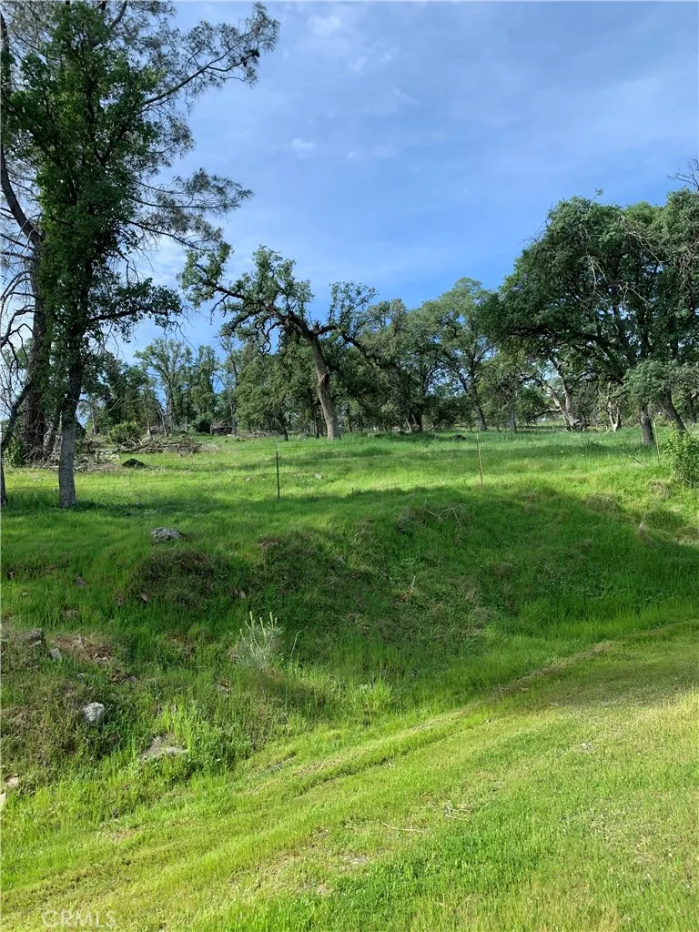 Upper field