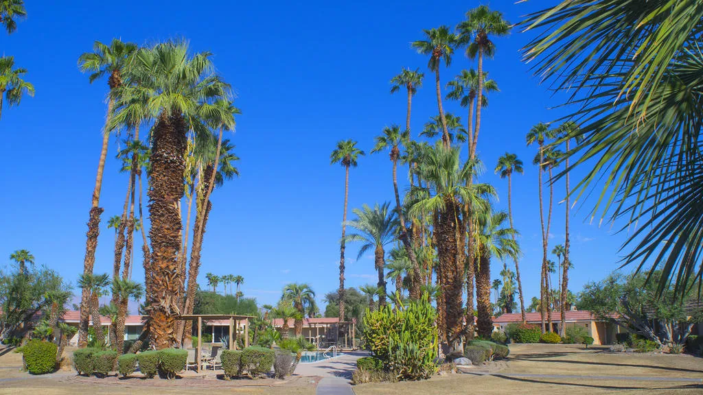 45860 Pima Road, Indian Wells, California 92210 home-pic-39