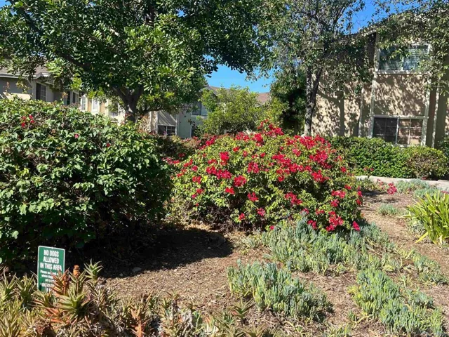 3635 Grove St 168 168, Lemon Grove, California 91945