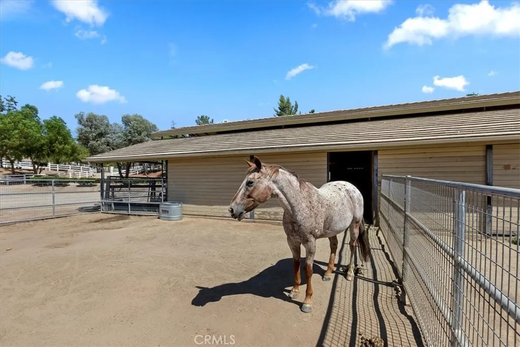 36410 Calle Puerto Bonita, Temecula, California 92592 home-pic-31