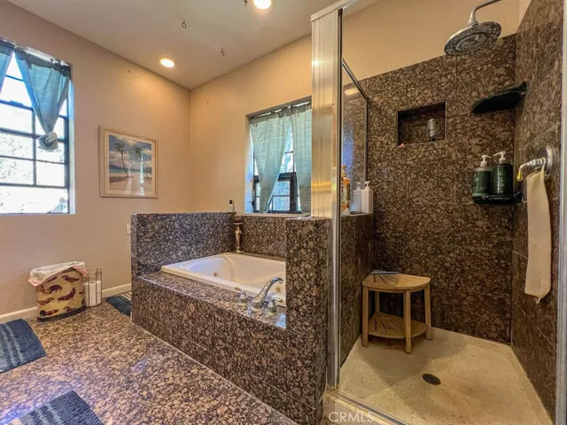 Master Bath jetted tub and Walk-in shower