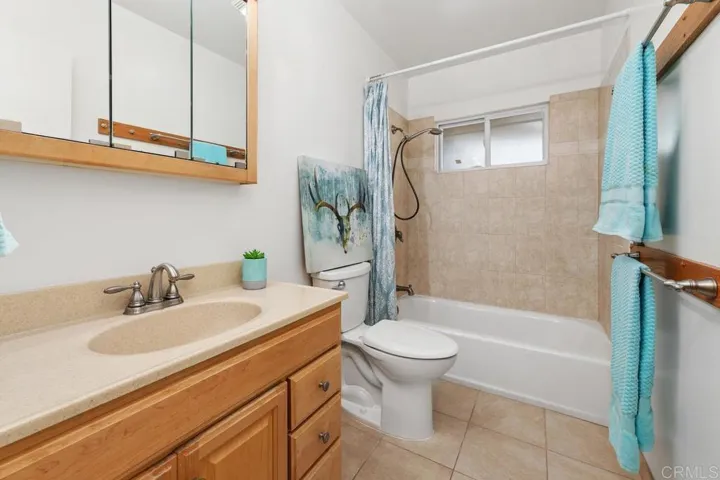 Hall Bathroom