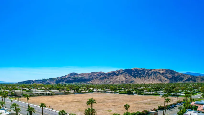 PalmCanyonE1150#34