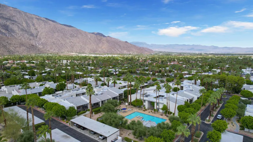 PalmCanyonE1150rs#46