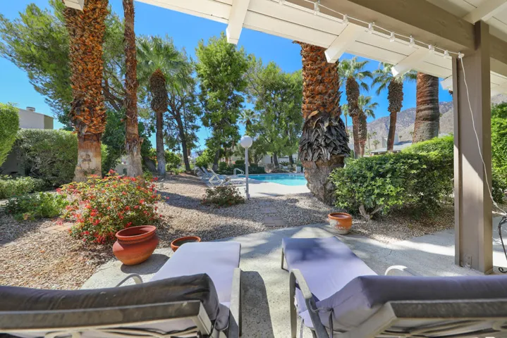 PalmCanyonE1150#21