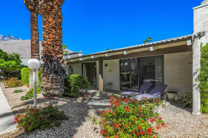 PalmCanyonE1150#27
