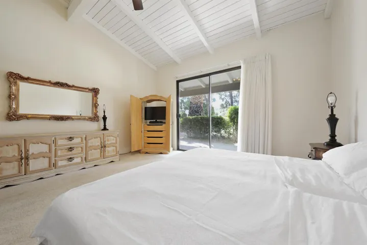 PalmCanyonE1150#13