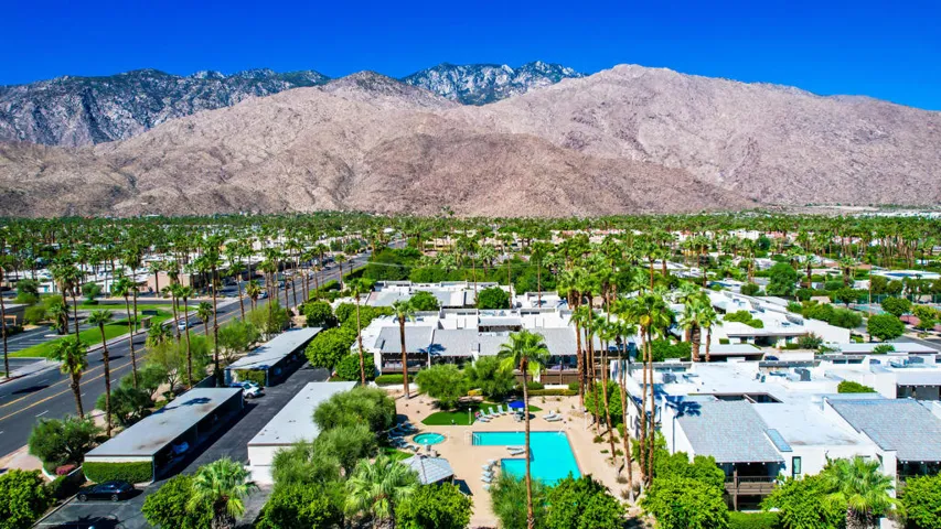 PalmCanyonE1150#30