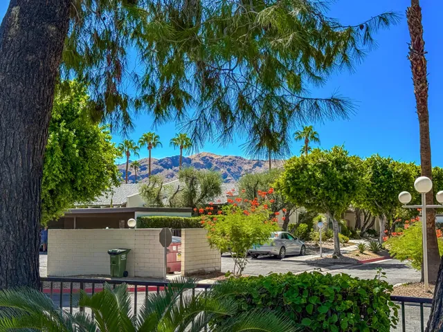PalmCanyonE1150#29