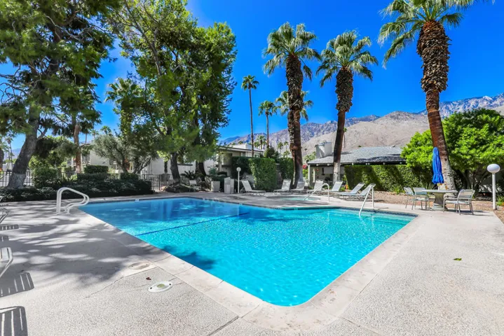 PalmCanyonE1150#23