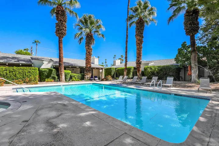 PalmCanyonE1150#25