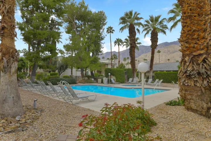 PalmCanyonE1150rs#38