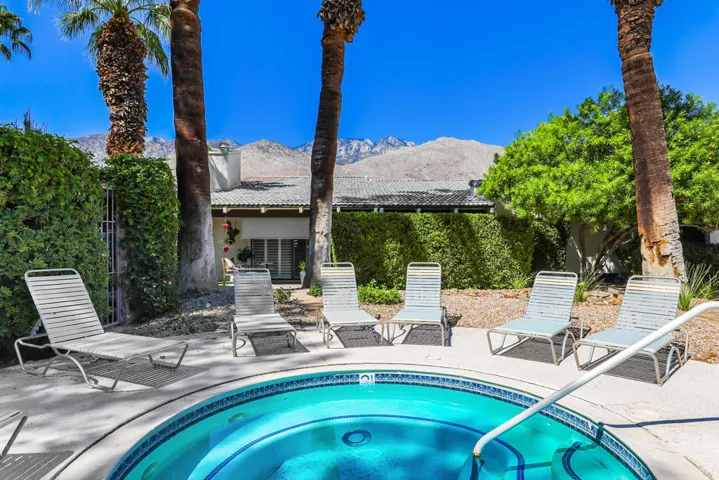 PalmCanyonE1150#26