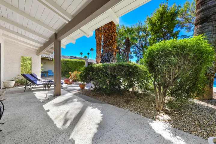 PalmCanyonE1150#20