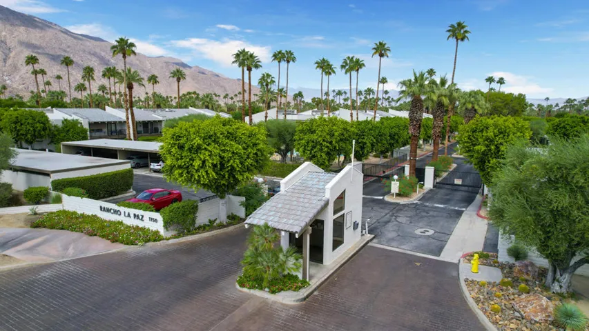 PalmCanyonE1150rs#48