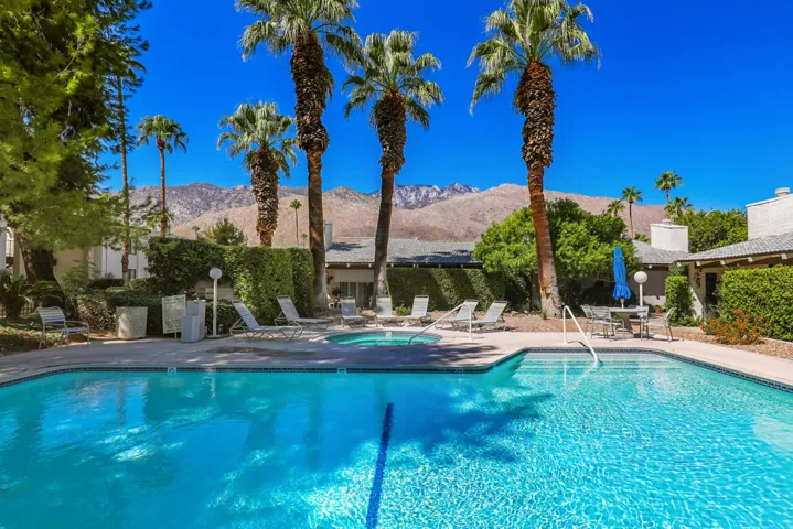 PalmCanyonE1150#28