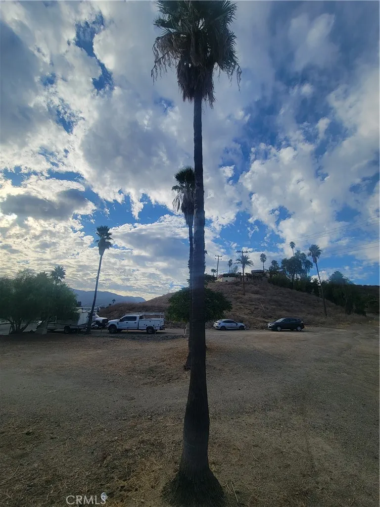 Mature trees