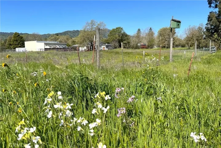 1025 Laurel Avenue, Sonoma, California 95472