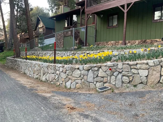 Front terraced stone walls at 25089 Moon Dr, Crestline lined with hundreds of bright yellow daffodils in full spring bloom.