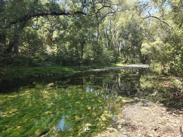 Carmel River Frontage