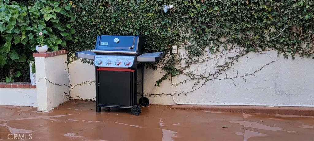 New 4 Burner Weber BBQ Just Outside Kitchen and Patios