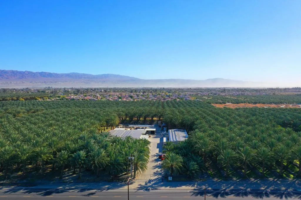 52500 Van Buren Street, Coachella, California 92236 home-pic-7