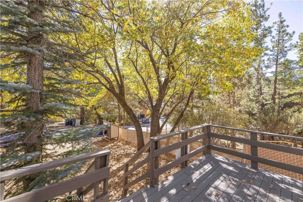 548 Moreno Lane, Sugarloaf, California 92386 home-pic-4