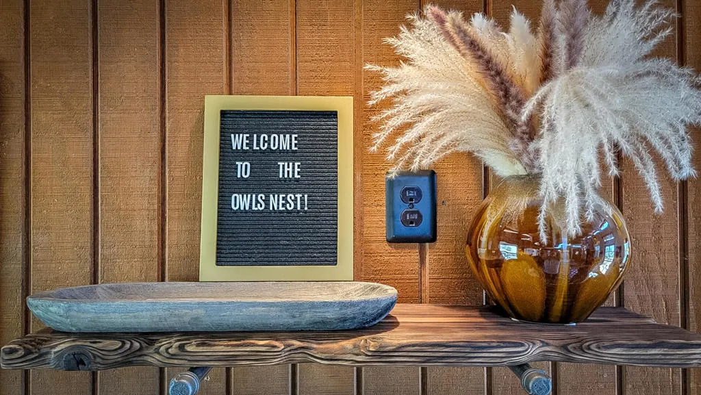 9223 N Star Trail, Morongo Valley, California 92256 home-pic-33