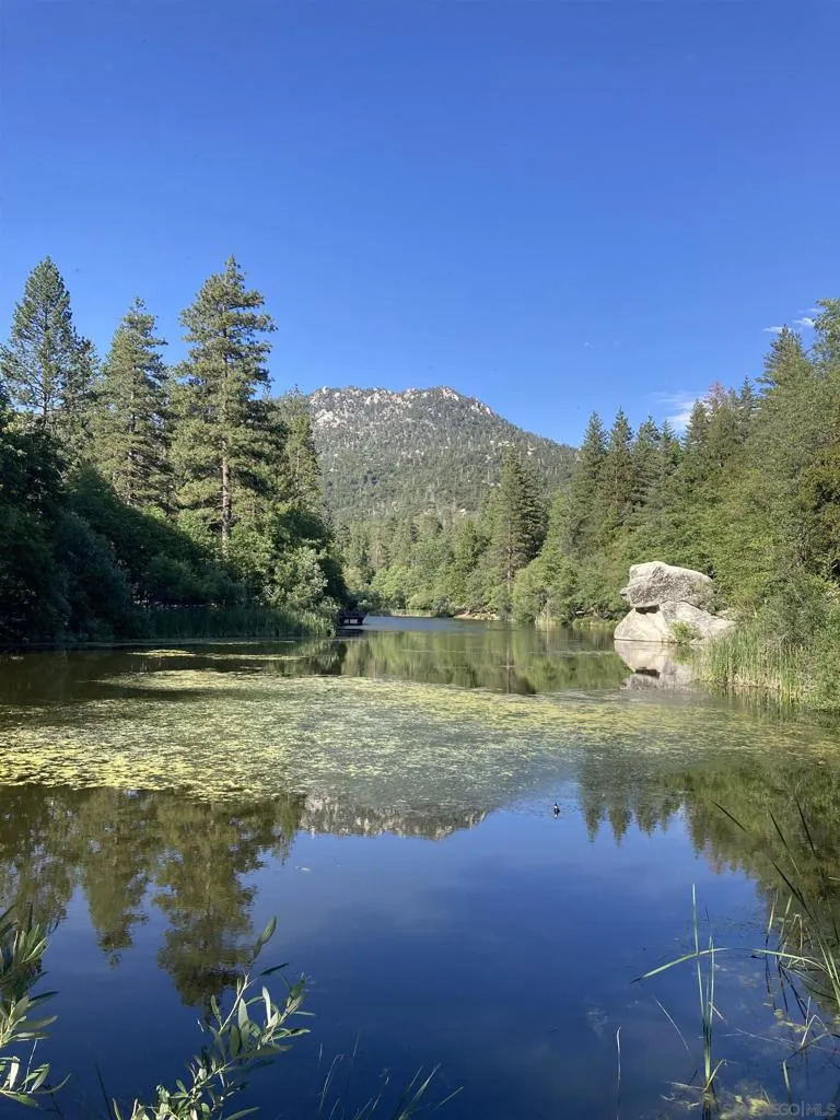 24655 Upper Rim Rock Road, Idyllwild, California 92549 home-pic-47