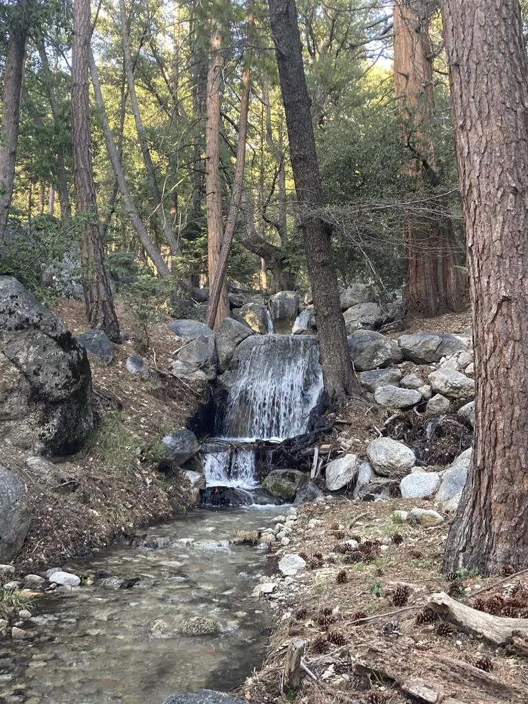 24655 Upper Rim Rock Road, Idyllwild, California 92549 home-pic-43