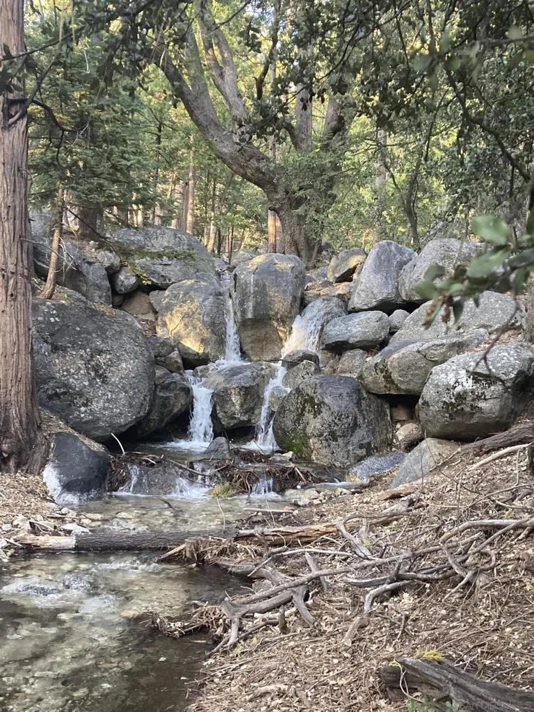 24655 Upper Rim Rock Road, Idyllwild, California 92549 home-pic-42