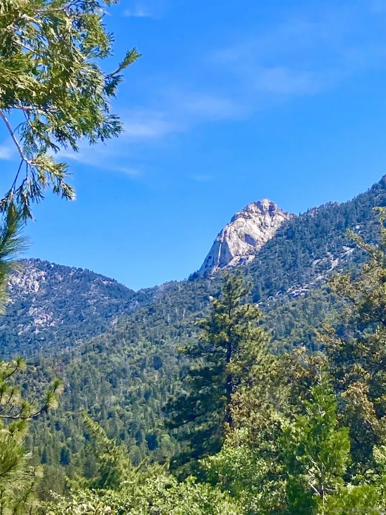 24655 Upper Rim Rock Road, Idyllwild, California 92549 home-pic-46
