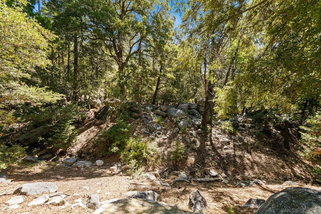 24655 Upper Rim Rock Road, Idyllwild, California 92549 home-pic-7