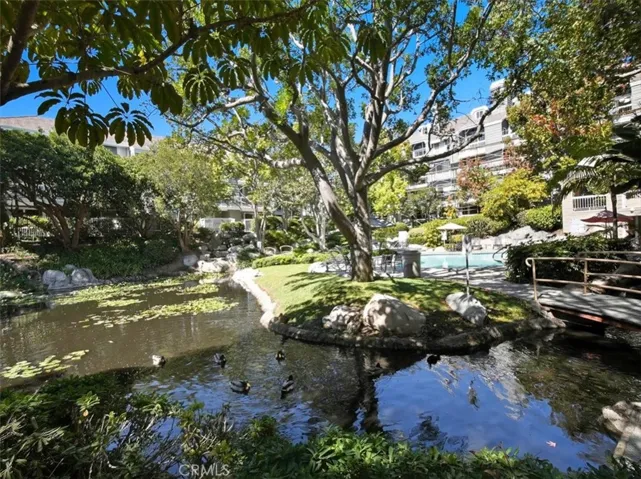 Lagoon, and Pool area