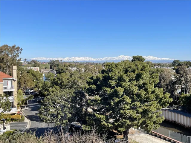 Panoramic Mountain View