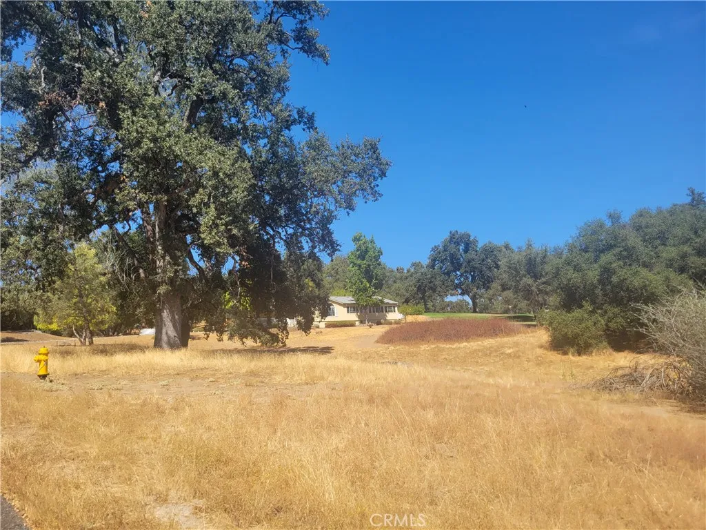 1 Acre Griffin Dr